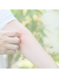 Insect Bite Allergy